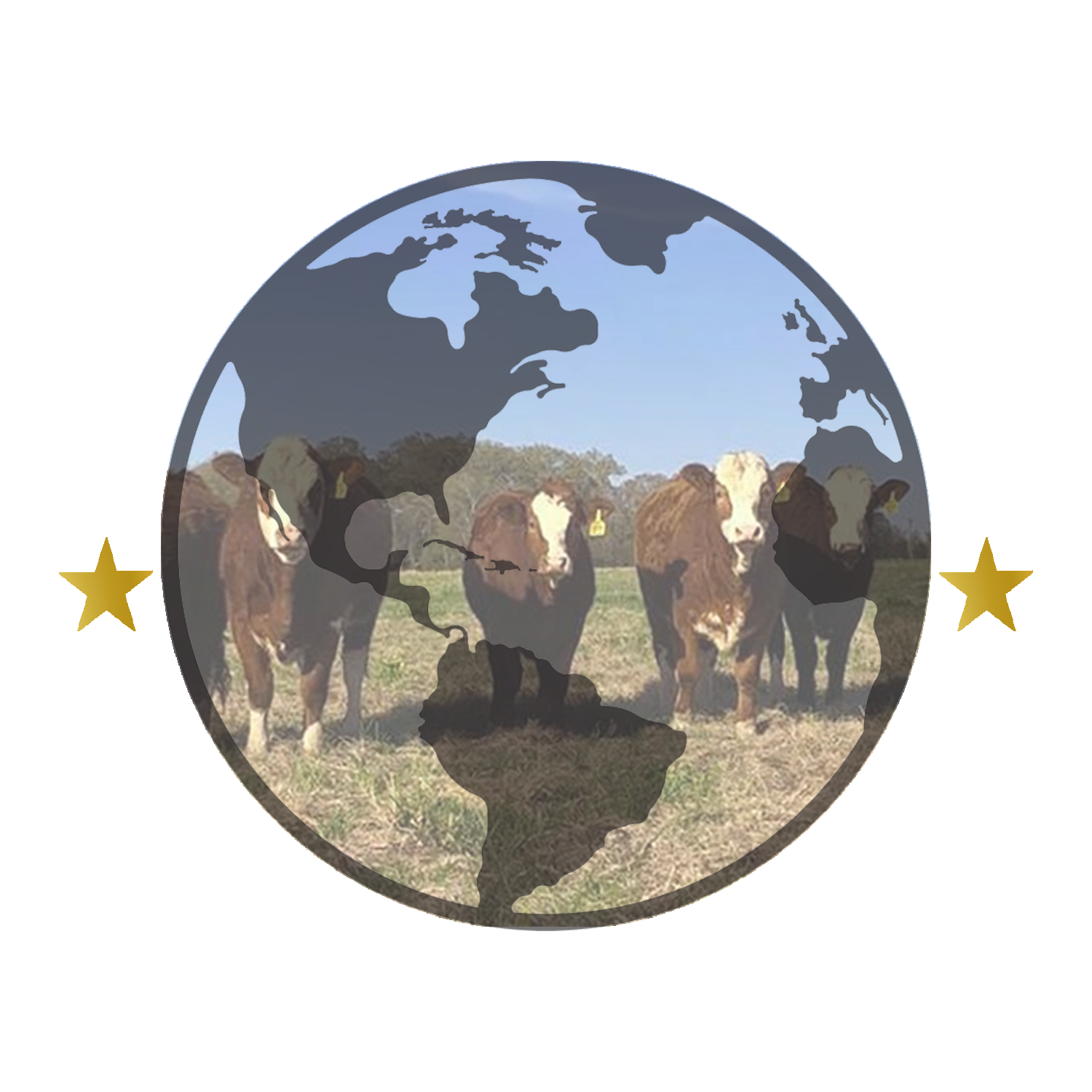 The Fullblood Simmental Fleckvieh Federation