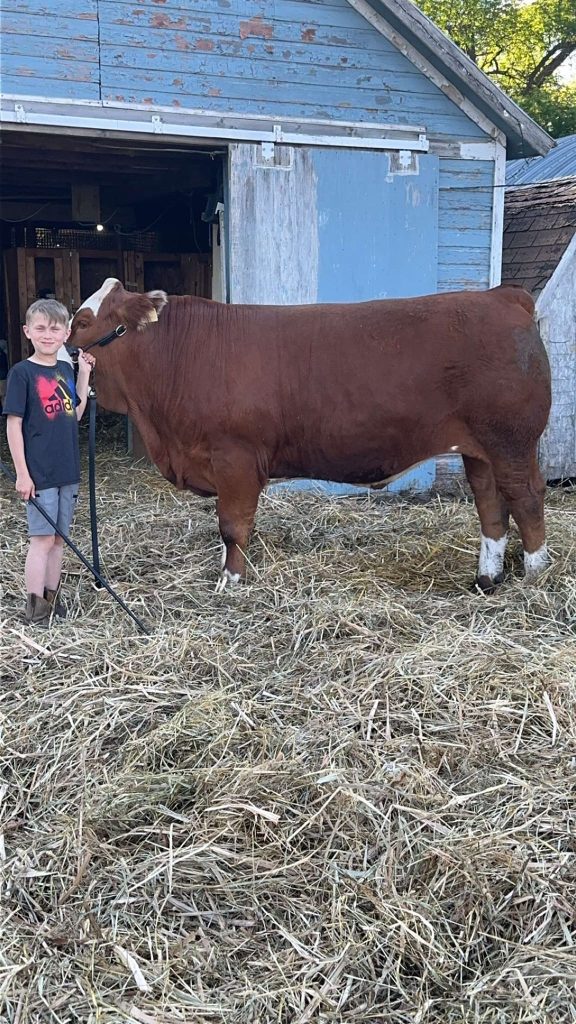 DOUBLE M LAND & CATTLE