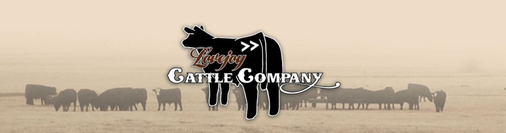 Lovejoy Cattle Company