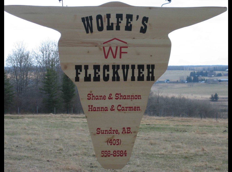 Wolfes Fleckvieh