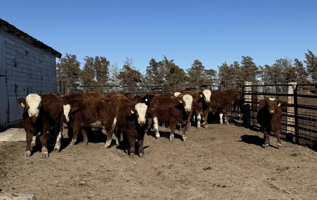 Wheatridge Farms Ltd.